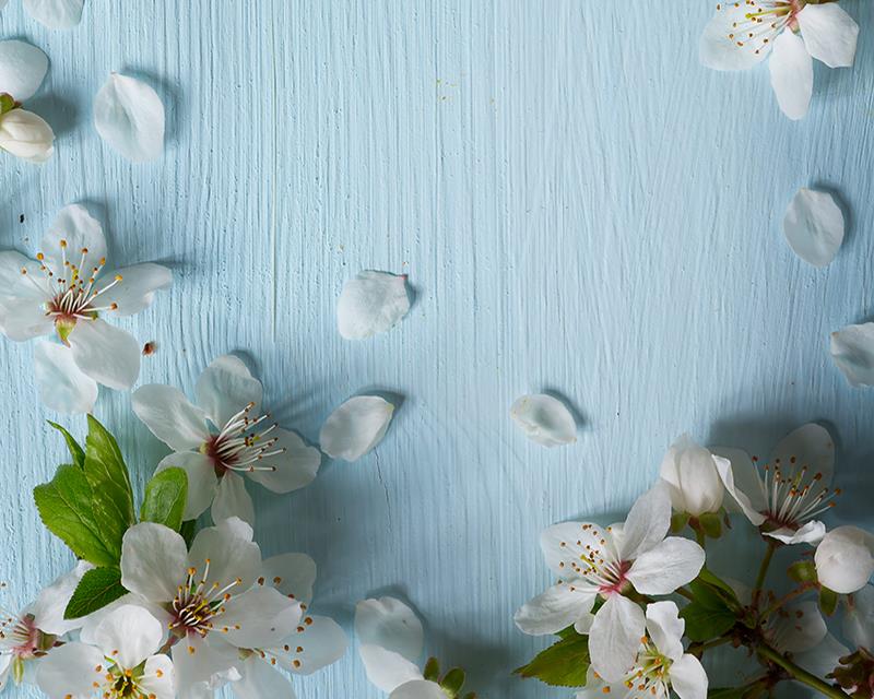 May Background2.jpg