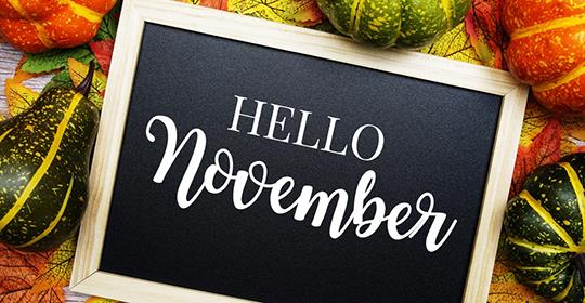 november newsletter header.jpg