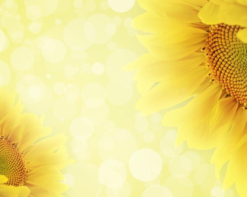September-Header-2.jpg